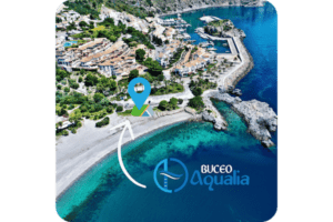 Buceo Aqualia - Marina del Este