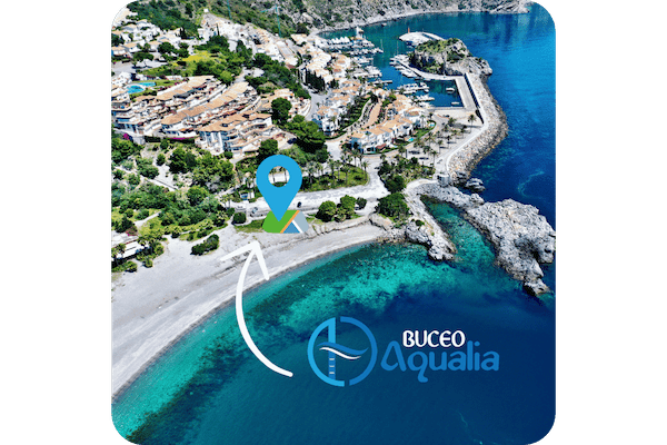 Buceo Aqualia - Marina del Este