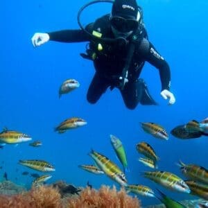 | BUCEO Aqualia La Herradura Basic Diver en La Herradura